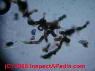 Paint lab Photograph of sample of failed paint